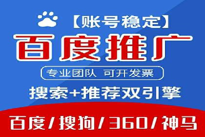 成功案例：网络推广与竞价广告的完美结合